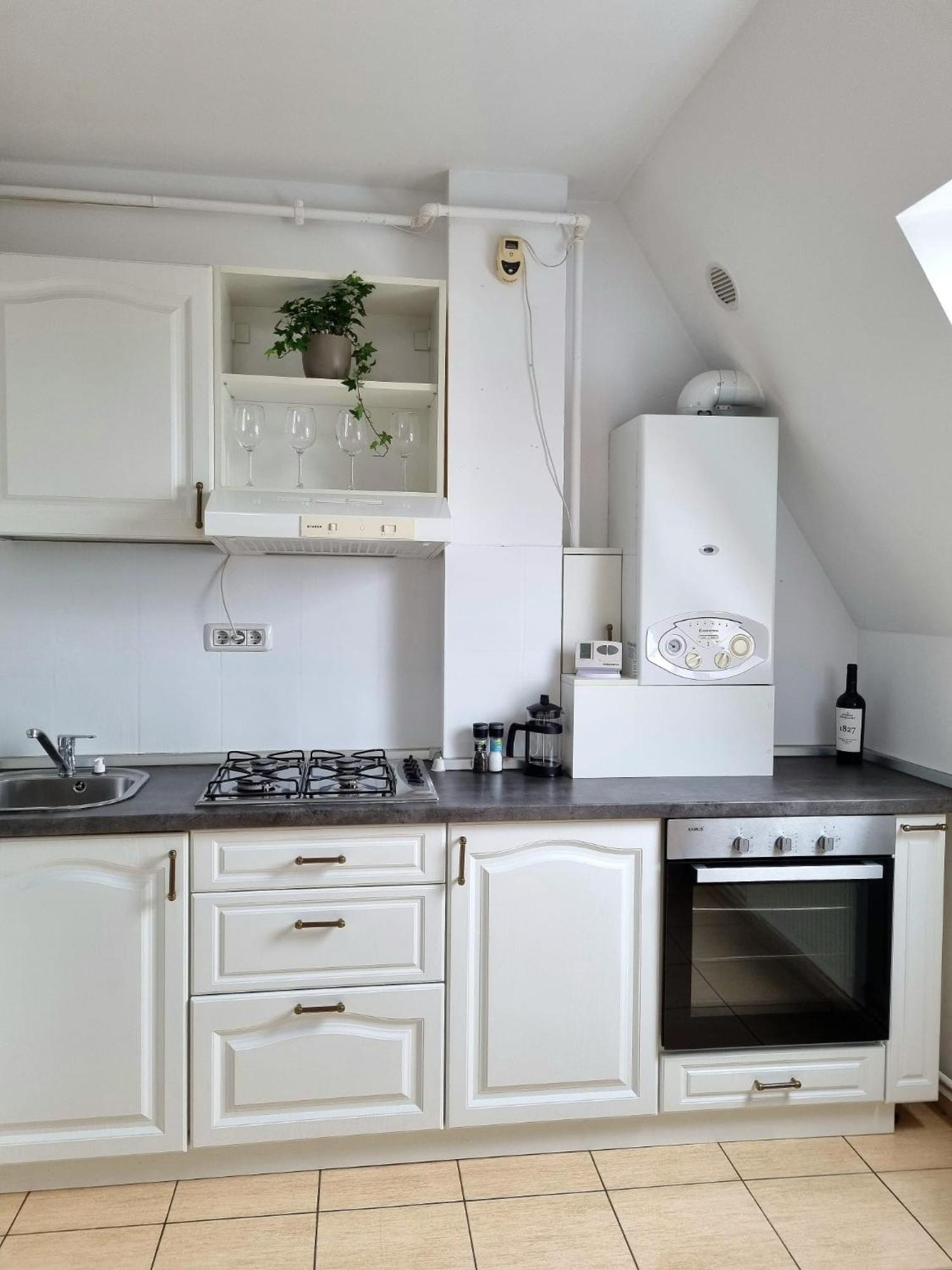 Iulius Town Charm Cozy Apartments Temesvár Kültér fotó